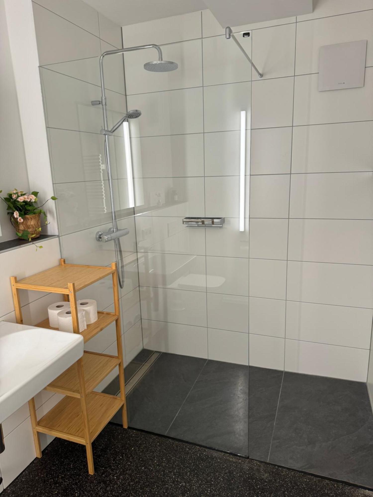 Isaak Apartment Stadtperle Waldshut-Tiengen Eksteriør bilde